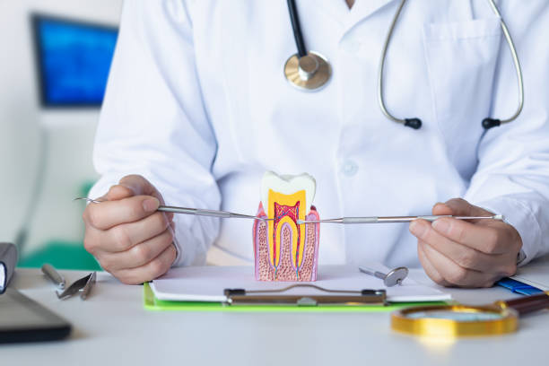 Best Emergency Root Canal Treatment in Fox Crossing, WI